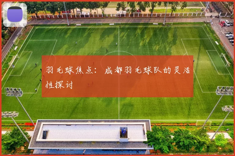 羽毛球焦点：成都羽毛球队的灵活性探讨