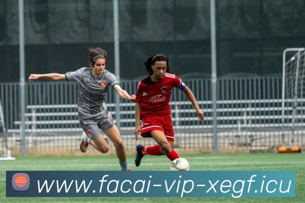 App Interface Preview